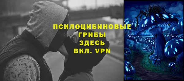 таблы Белокуриха