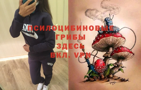 2c-b Белоозёрский