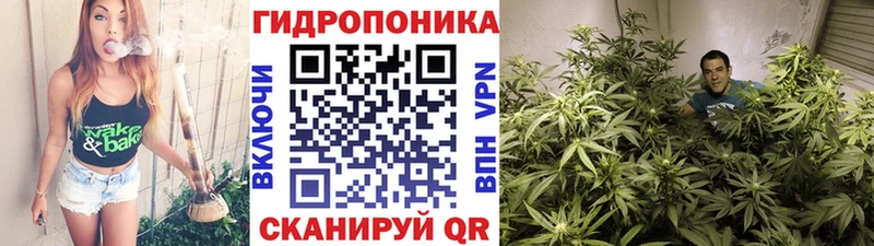 Марихуана марихуана Красный Холм